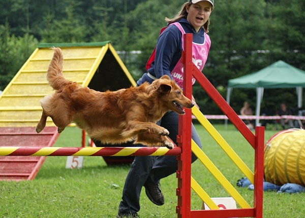 Domžale 2009 - foto povečava