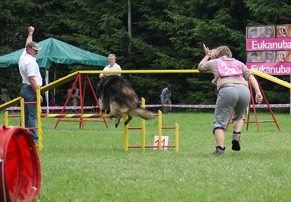 Domžale 2009 - foto povečava