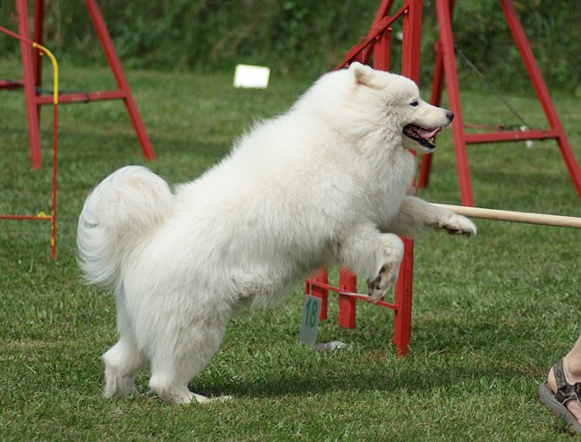 4fun Barje - foto povečava