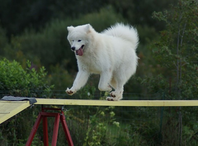 4fun Barje - foto