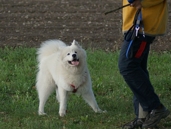 Laki&Daisy - foto povečava