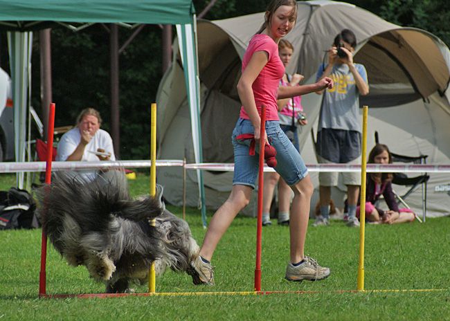 Agility Domžale 2010 - 1. - foto povečava