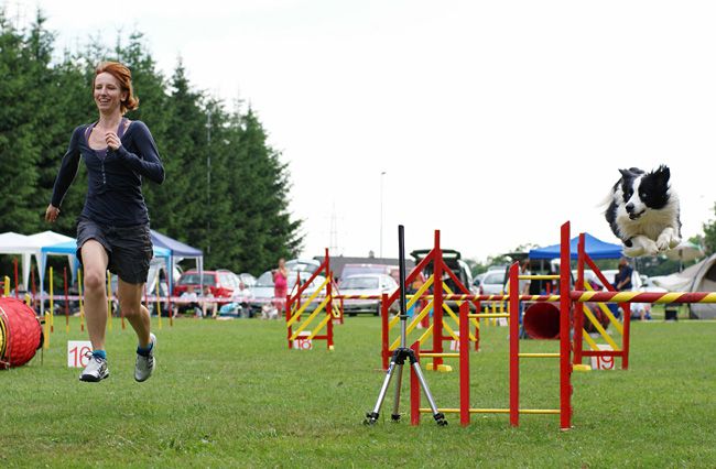 Agility Domžale 2010 - 2. in 3. - foto povečava