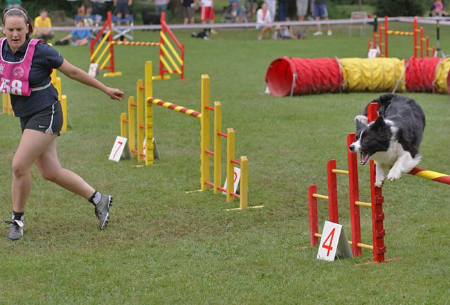 Agility Domžale 2010 - 2. in 3. - foto povečava