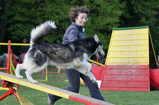 AGILITY TRENING 5 - LUKA - foto povečava