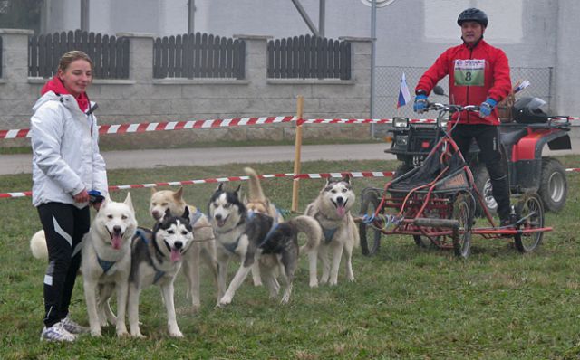 5. evropsko prvenstvo pasemskih vlečnih psov  - foto