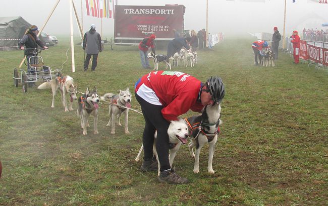 5. evropsko prvenstvo pasemskih vlečnih psov  - foto povečava