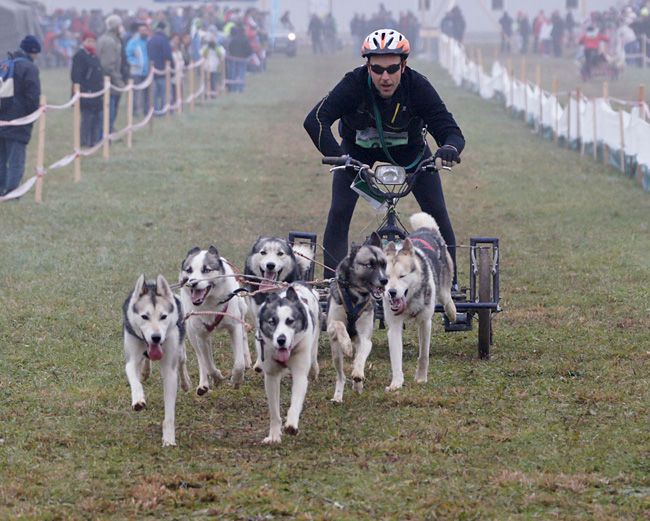 Smlednik, cart - nedelja - foto povečava