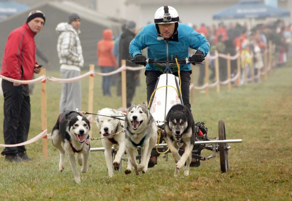 Smlednik, cart - nedelja - foto povečava