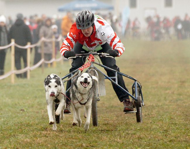 Smlednik, cart - nedelja - foto povečava