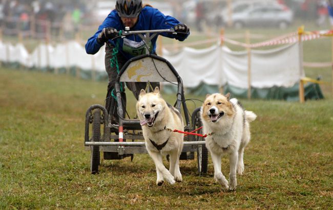 Smlednik, cart - nedelja - foto povečava