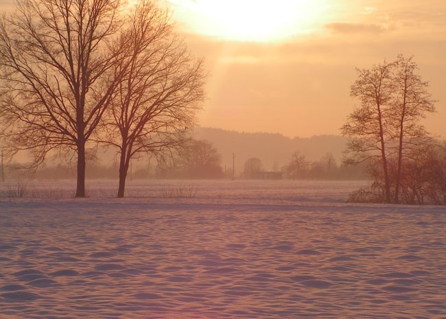 Zimske barve - foto povečava