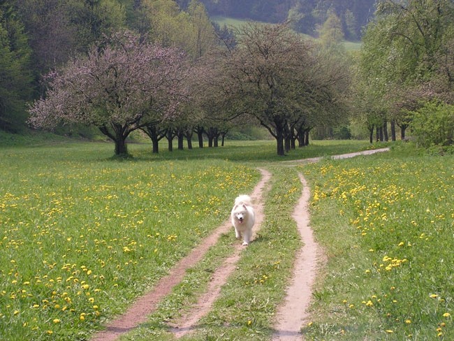 okolica vabi na dolg sprehod