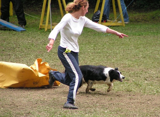 Agility tekma Slovenska Bistrica 2006 - foto