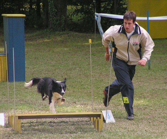 Agility tekma Slovenska Bistrica 2006 - foto