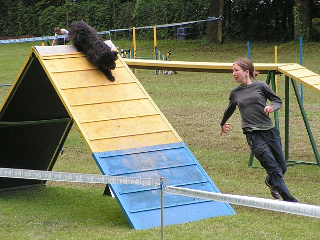 Agility tekma Slovenska Bistrica 2006 - foto povečava