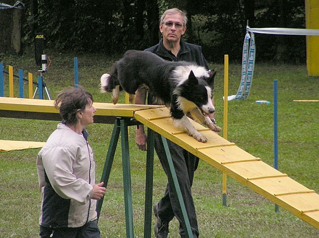 Agility tekma Slovenska Bistrica 2006 - foto povečava