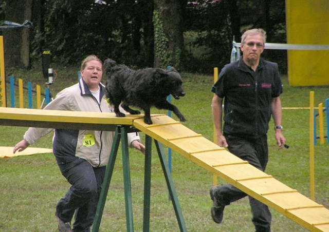 Agility tekma Slovenska Bistrica 2006 - foto