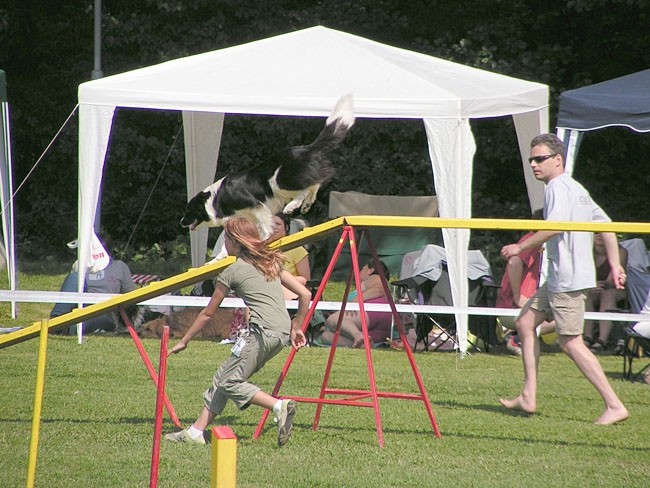 Agility Domžale 2006 - foto povečava