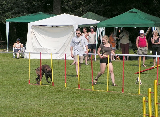 Agility Domžale 2006 - foto povečava