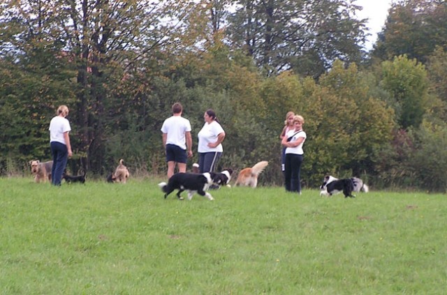 Agility Kočevje - foto