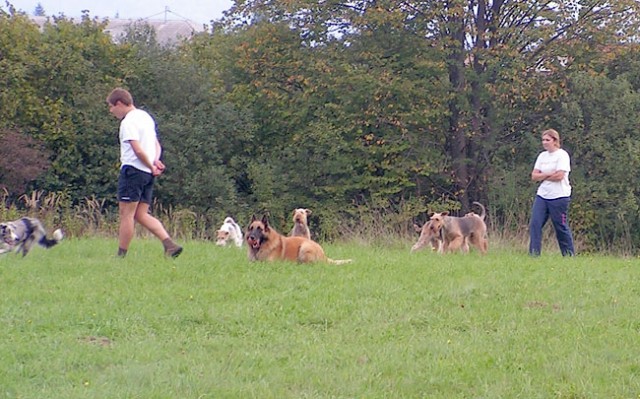 Agility Kočevje - foto