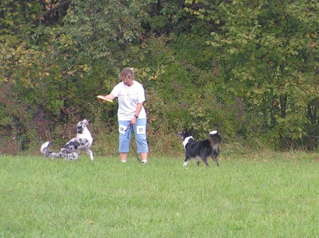 Agility Kočevje - foto