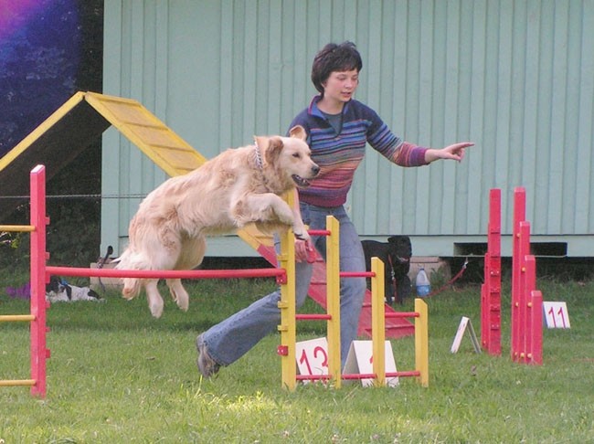 Agility trening 2 - foto povečava