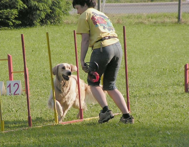 Agility trening 2 - foto