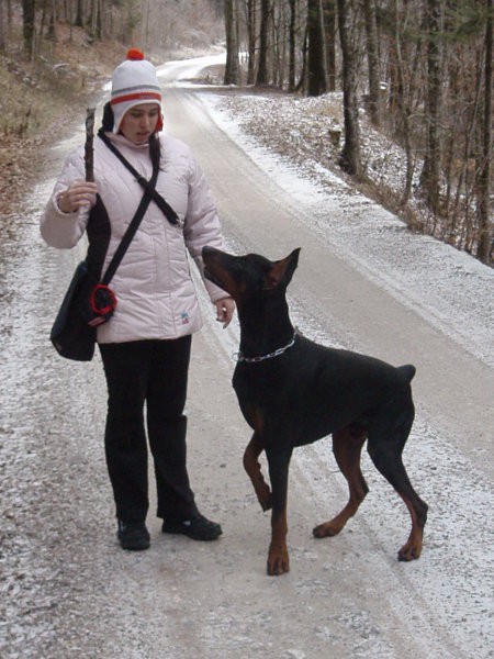 Novoletni sprehod - foto povečava