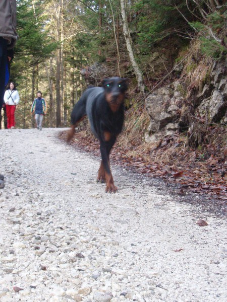 Idrijčani se družimo - foto