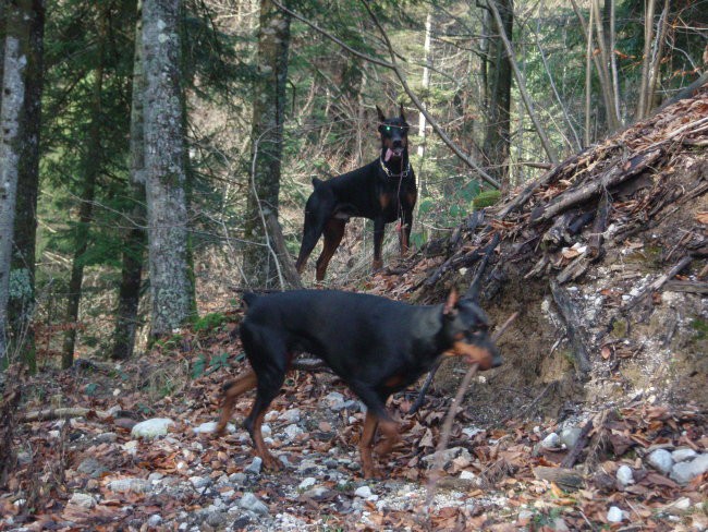 Idrijčani se družimo - foto povečava