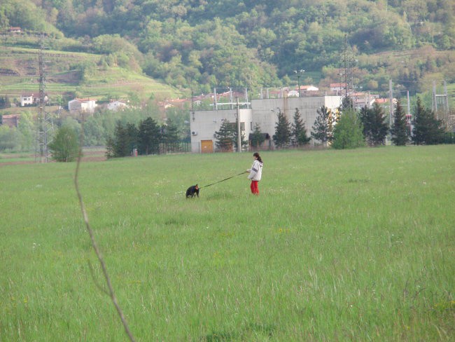 Obramba - foto povečava