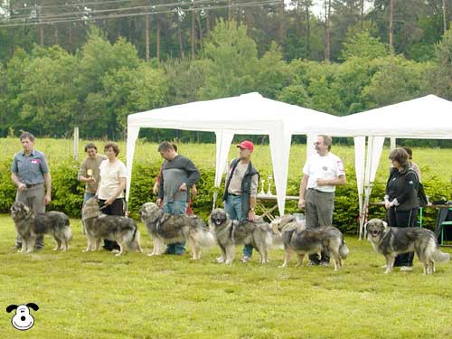 CAC  DLVKOS  VZREJNA  SKUPINA  PSARNA  SREDNJEDRAVSKA
5.  2006