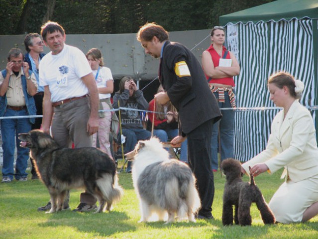 CACIB  MARIBOR  Ch.  ŠANA  V  OCENJEVALNEM  KROGU  KROGU
9.  2006