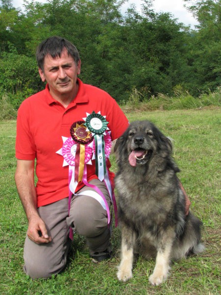 CAC  TRBOVLJE  Ch.  ŠANA  ODLIČNO  1 PRVAK PASME BOB  VETERANI  PRVO MESTO,  VZREJNE SKUPI