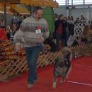 CAC CELJE Ch. DENA SREDNJEDRAVSKA V RAZSTAVNEM KROGU