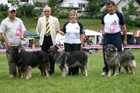 CAC  HRUŠICA  RAZVRSTITEV