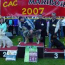 CAC  MARIBOR  FINA  SREDNJEDRAVSKA  RAZRED   NAJMLAJŠI