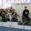 CACIB  CELJE  Ch.  ODLIČNO 1
vETERANI  TRETJE  MESTO