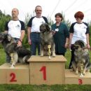 CAC  DLVKOS  Ch. DENA  1,    DONA 2,  DAŠA  3  SREDNJEDRAVSKE