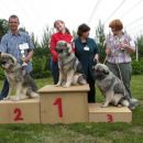CAC  DLVKOS  FIONA  SREDNJEDRAVSKA  RAZRED  MLADI  2  MESTO