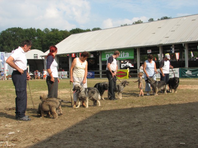 KMETIJSKO ŽIVILSKI SEJEM GORNJA RADGONA 2009 - foto