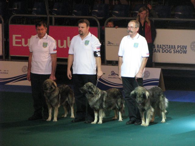 EDS  EVROPSKA  RAZSTAVA  CELJE 2010 - foto