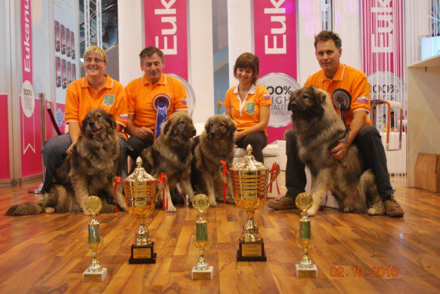 EDS  EVROPSKA  RAZSTAVA  CELJE 2010 - foto povečava